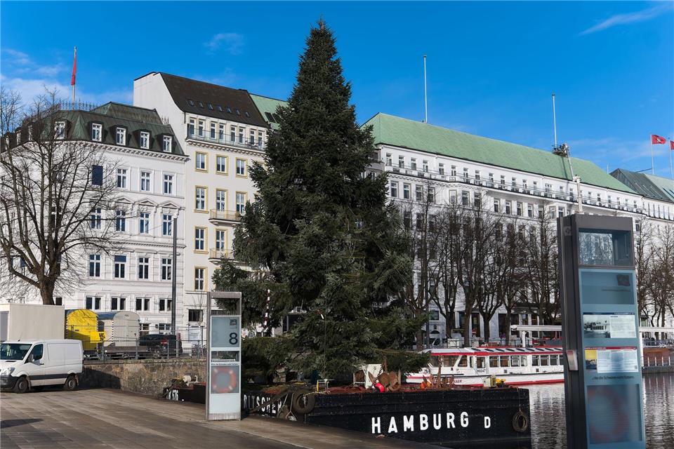 Die diesjährige Alstertanne ist an der Binnenalster angekommen. Marcus Golejewski/dpa