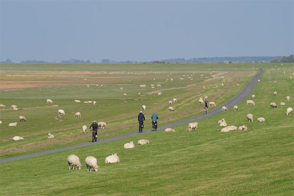 Die diesjährigen Herbstdeichschauen starten auf Amrum. (Archivbild)Marcus Brandt/dpa