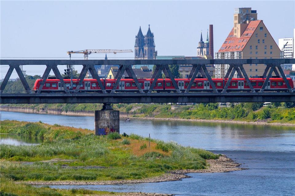 Die durch Magdeburg fließende Elbe führt aktuell kaum Wasser.Klaus-Dietmar Gabbert/dpa