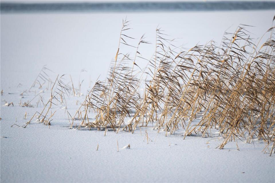 Die eisigen Temperaturen schränken in MV auch den Fährverkehr teilweise ein. Philip Dulian/dpa