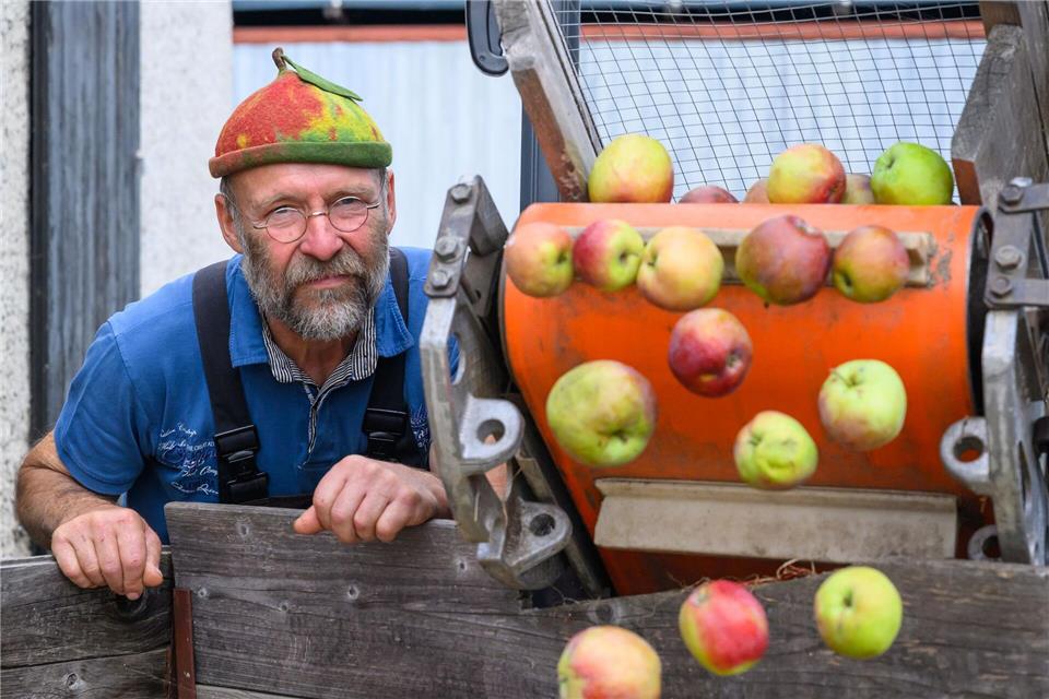 Obstschwemme sorgt für Ansturm auf Mostereien Die ersten Apfelsorten sind jetzt schon reif und können verarbeitet werden.Patrick Pleul/dpa
