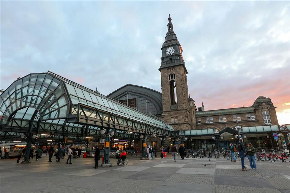 Die gestürzte Frau lag im Hamburger Hauptbahnhof regungslos auf dem Gleis. (Symbolbild)Bodo Marks/dpa