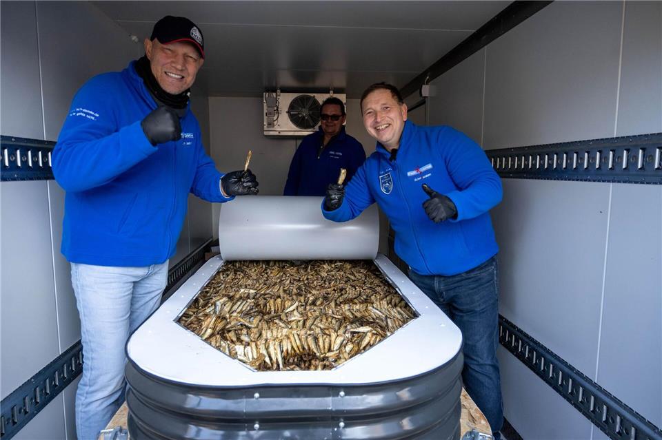 Die größte Fischkonserve der Welt ist nach Angaben des Rekord-Instituts für Deutschland (RID) 1,94 Meter lang, 1,03 Meter breit und 31 Zentimeter hoch.Stefan Sauer/dpa