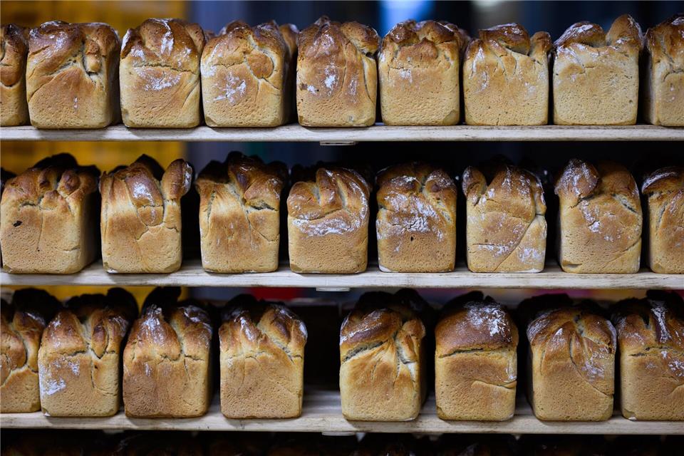 Die kleinen und mittelständischen Unternehmen in Deutschland geraten wirtschaftlich stärker unter Druck (Archivbild). Bernd von Jutrczenka/dpa