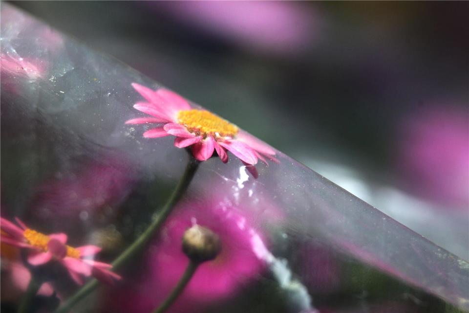 Die langfristigen Klimamodelle der Wetterexperten erwarten eher höhere Temperaturen. (Archivbild)Karl-Josef Hildenbrand/dpa