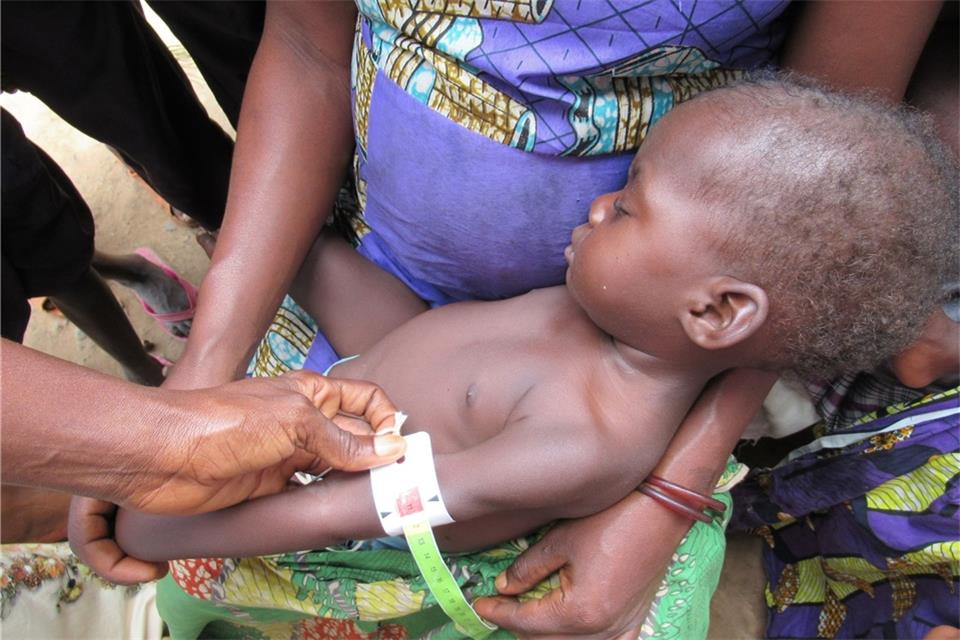 Die meisten Hungernden lebten im vergangenen Jahr in der Demokratischen Republik Kongo (25,8 Millionen), gefolgt von Nigeria, dem Sudan und Afghanistan.