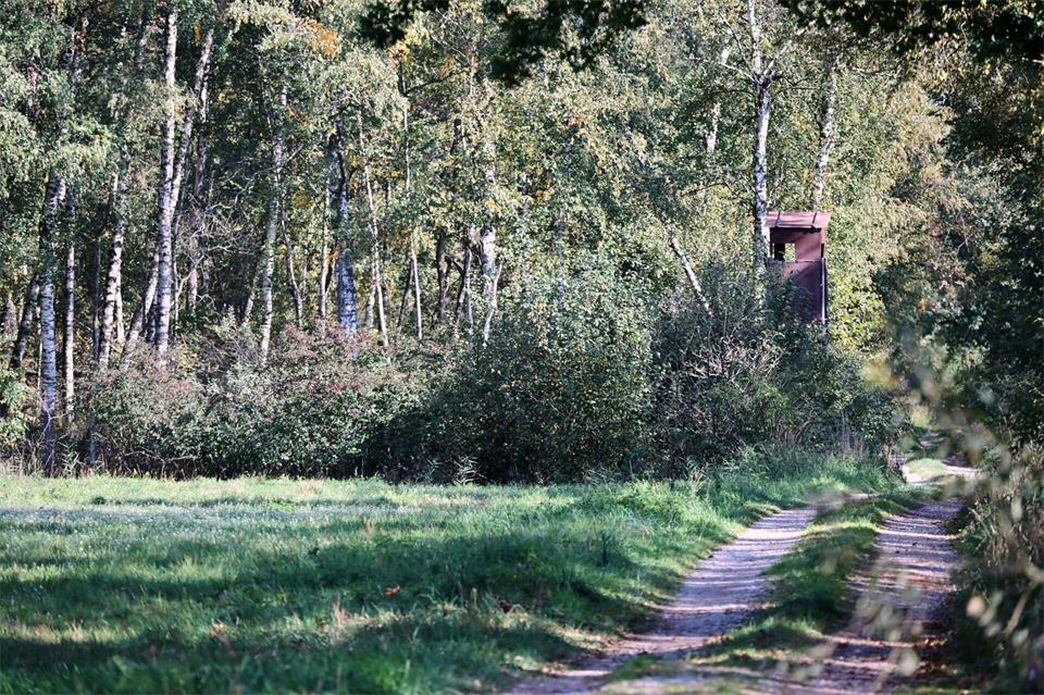 Die mutmaßliche Raubkatze wurde laut Landratsamt in einem Naturschutzgebiet in der Nähe des Münchner Flughafens gesehen.Peter Kneffel/dpa