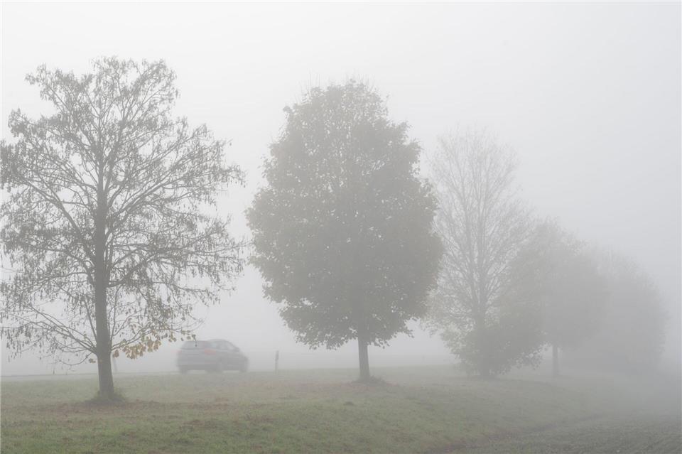 Die nächsten Tage bleibt es nebelig-trüb im Freistaat. (Symbolbild)Stefan Puchner/dpa