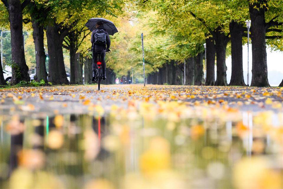 Die nächsten Tage erwartet Niedersachsen und Bremen ein Wechselspiel aus sonnigen Abschnitten, Regen, Böen und einem Temperaturabfall. (Symbolbild)Julian Stratenschulte/dpa