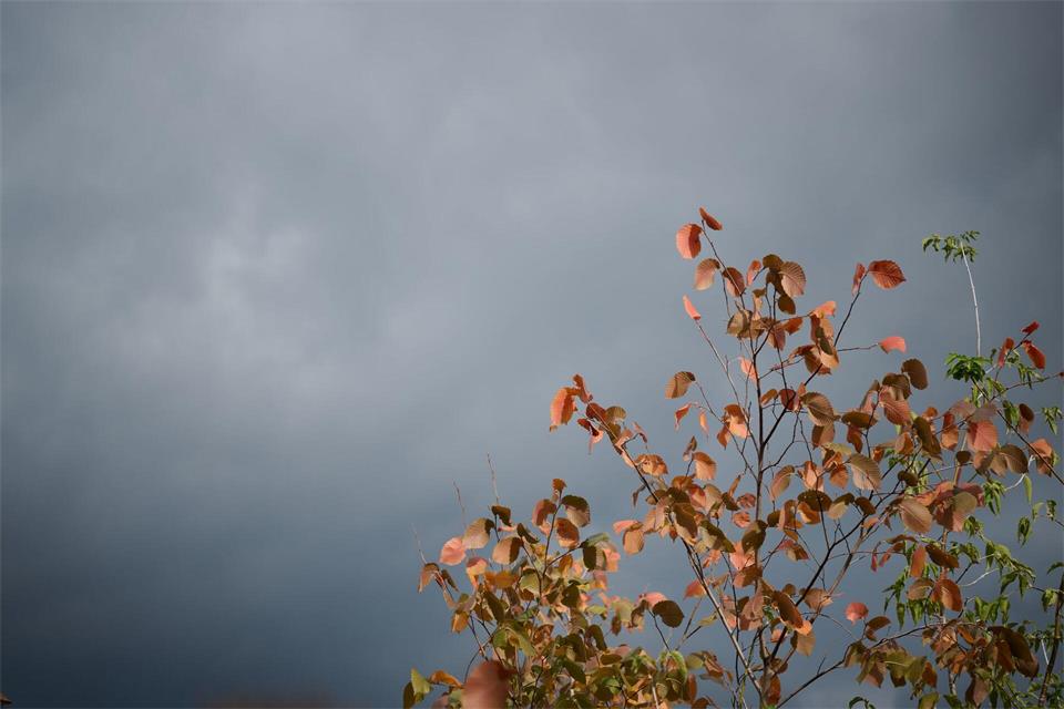 Die nächsten Tage wird es regnerisch herbstlich.  (Symbolbild)Katharina Kausche/dpa