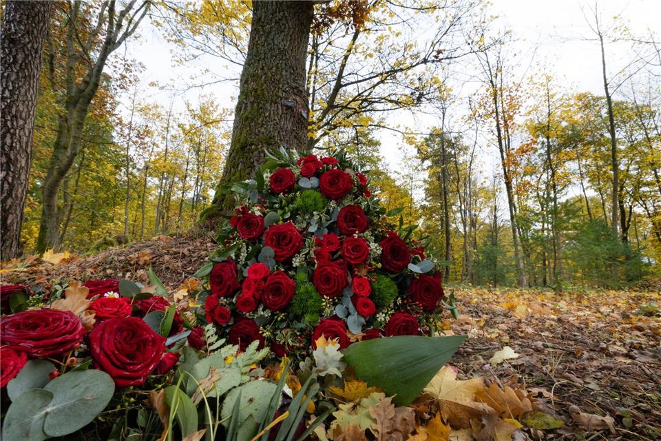 Nachfrage nach Waldbestattungen in Thüringen ungebrochen  Die naturnahe Bestattung im Wald ist für viele Menschen eine Alternative zu Friedhöfen innerhalb von Orten.Michael Reichel/dpa