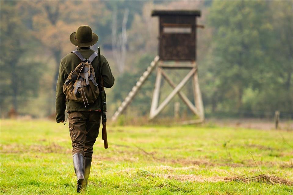 Die neue Jagdsaison beginnt am 1. April. (Archivbild) Philipp Schulze/dpa