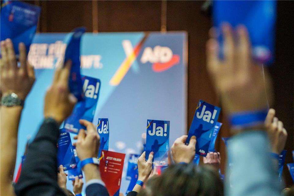 Die neue Jugendorganisation der AfD, Generation Deutschland, will nun einen Landesverband in Niedersachsen gründen. (Archivbild)Andreas Arnold/dpa