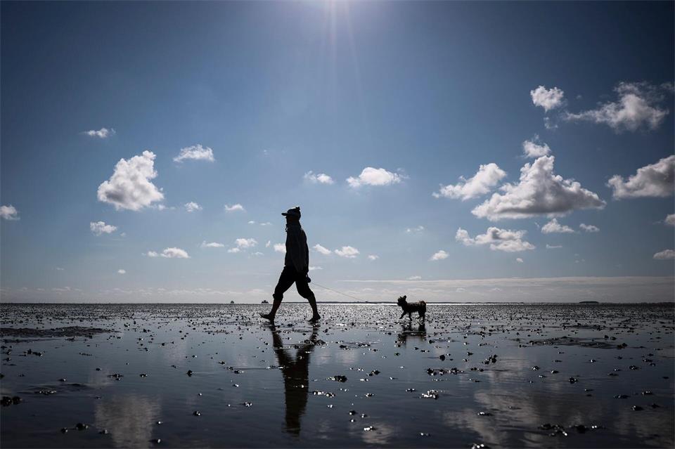 Die neue Woche bringt ein paar Sonnenstunden mit sich. (Archivbild)Christian Charisius/dpa