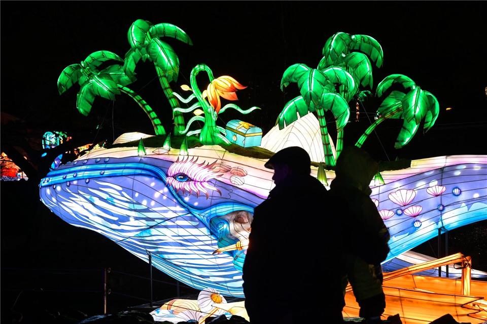 Die neuen Lichtinstallationen im Bergzoo Halle sind vom 12. Dezember bis 1. März zu sehen. (Archivbild)Heiko Rebsch/dpa