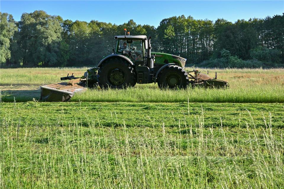 Die neuen Regeln zum Erhalt von Grünland treffen beim Bauernverband in Mecklenburg-Vorpommern auf Kritik. (Symbolbild)     Patrick Pleul/dpa