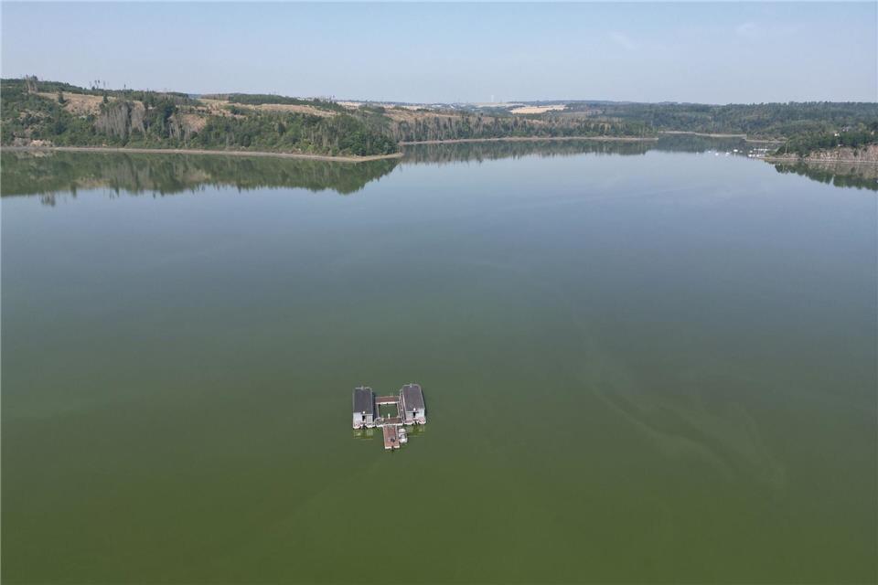 Die offiziellen Badestellen sind laut Landratsamt nicht vom Blaualgenbefall betroffen. (Symbolbild)Bodo Schackow/dpa