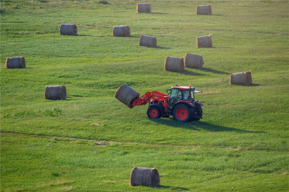 Die ostdeutschen Agrarminister warnen vor einer Kürzung von EU-Mitteln ab 2028 (Archivbild).Klaus-Dietmar Gabbert/dpa