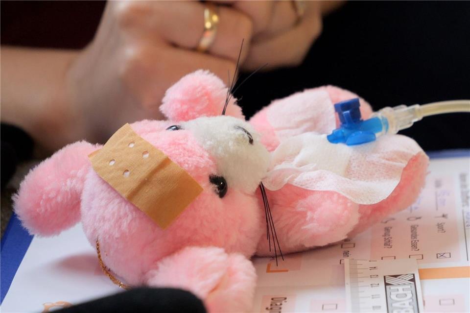 Die pinkfarbene Stoffmaus „Mausi“ kam mit Bauchschmerzen zum Arzt – und wurde in Bissendorf liebevoll von kleinen Händen versorgt.Jörn Hüneke/dpa