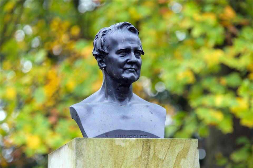 Die renommierte Bioingenieurin Sahika Inal hat eine Humboldt-Professur erhalten und soll künftig in Dresden forschen. (Symbolbild)Soeren Stache/dpa-Zentralbild/ZB