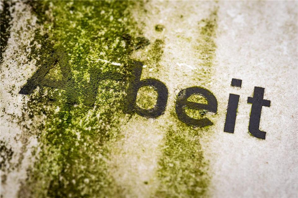 Die richtigen Investitionen könnten laut der Prognose auch den Arbeitsmarkt beleben. Sina Schuldt/dpa