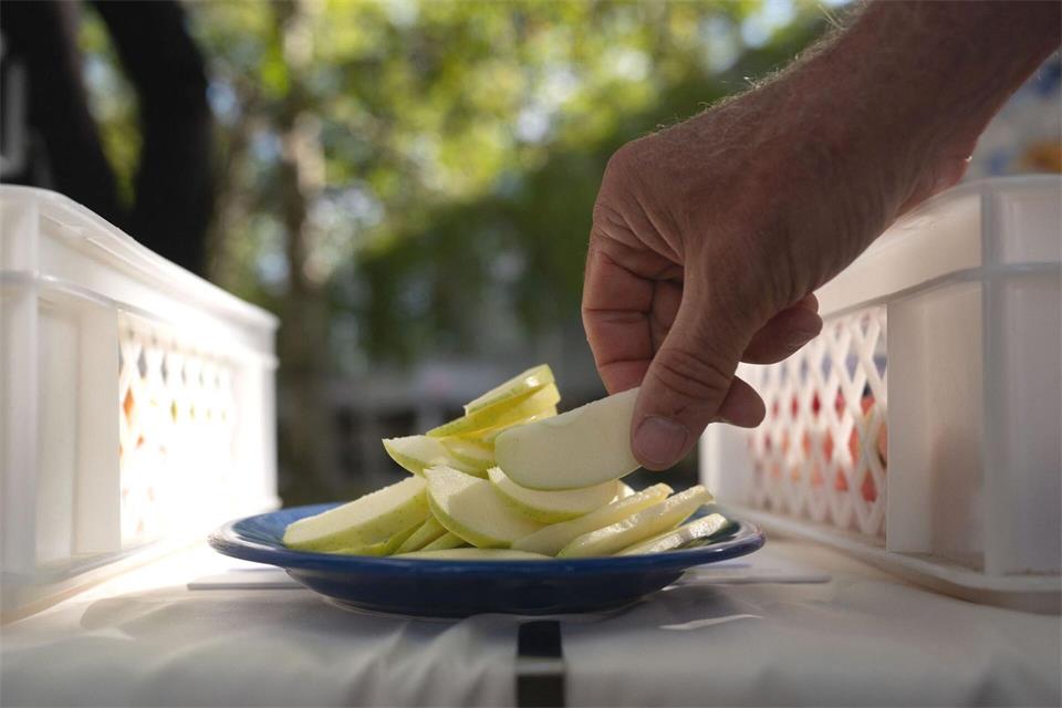 Die sächsischen Obstbauern rechnen bei der Apfelernte mit einer sehr guten Qualität der Früchte.Katharina Kausche/dpa