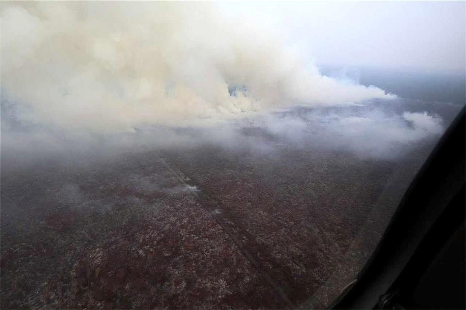 Die schweren Waldbrände bedrohen Menschen und Tiere gleichermaßen. -/National Disaster Management Agency (BNPB)/dpa