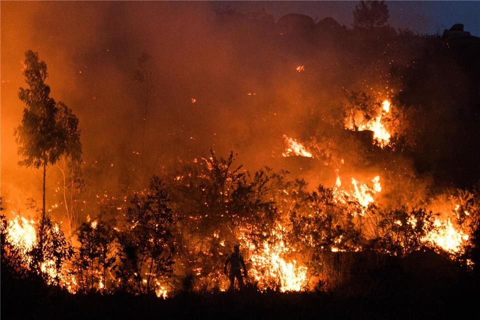 Die spanischen Behörden sind wegen der Waldbrandgefahr durch zehntausende Touristen in ländlichen Gebieten während der Sonnenfinsternis am kommenden Mittwoch in höchster Alarmbereitschaft. Elena Fernández/EUROPA PRESS/dpa