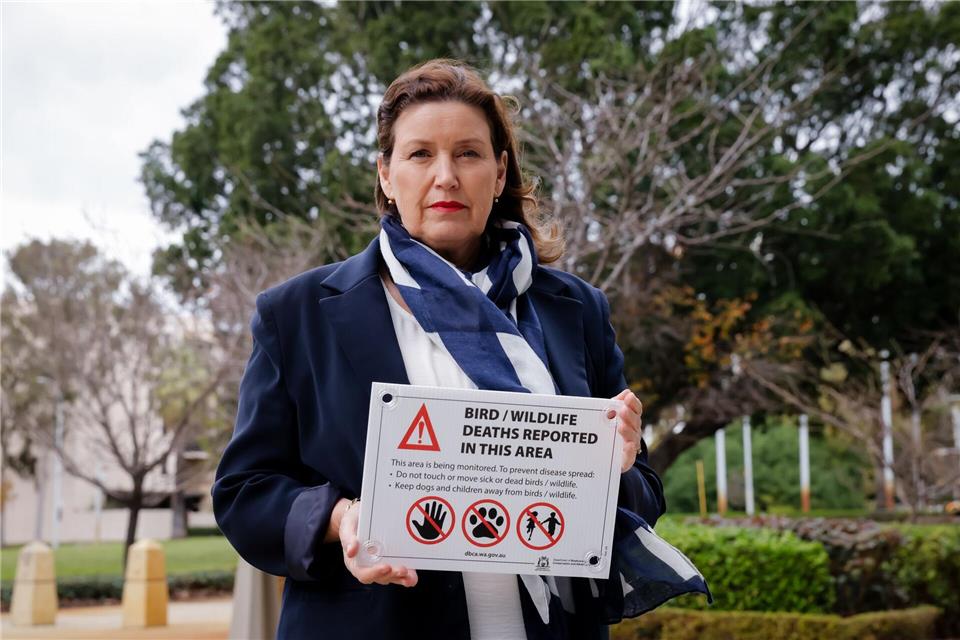 Die tödliche Virusvariante der Vogelgrippe hat das australische Festland erreicht. Richard Wainwright/AAP/dpa