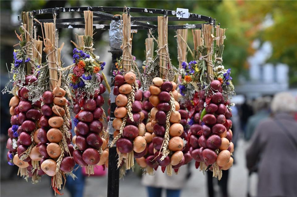 Bilder des Tages Die traditionellen Zwiebelzöpfe hängen zum Verkauf auf dem Zwiebelmarkt in Weimar.Martin Schutt/dpa