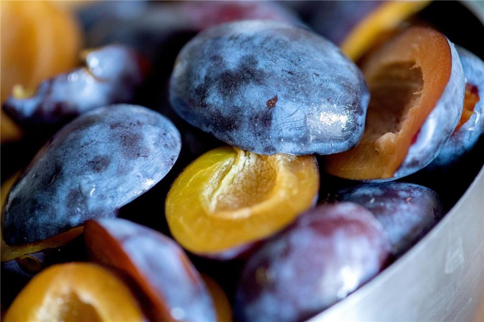 Die typisch weißliche Schicht von Pflaumen und Zwetschgen sollte erst kurz vor dem Entkernen abgewaschen werden. Sie schützt vor dem Austrocknen.picture alliance/dpa/dpa-tmn