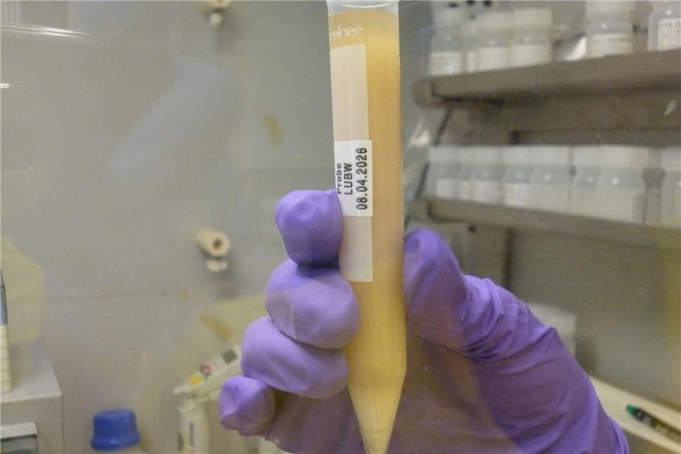 Die verdächtige Substanz - hier ist eine Probe davon zu sehen - wird nun noch weiter von Experten untersucht. Umweltministerium Baden-Württemberg