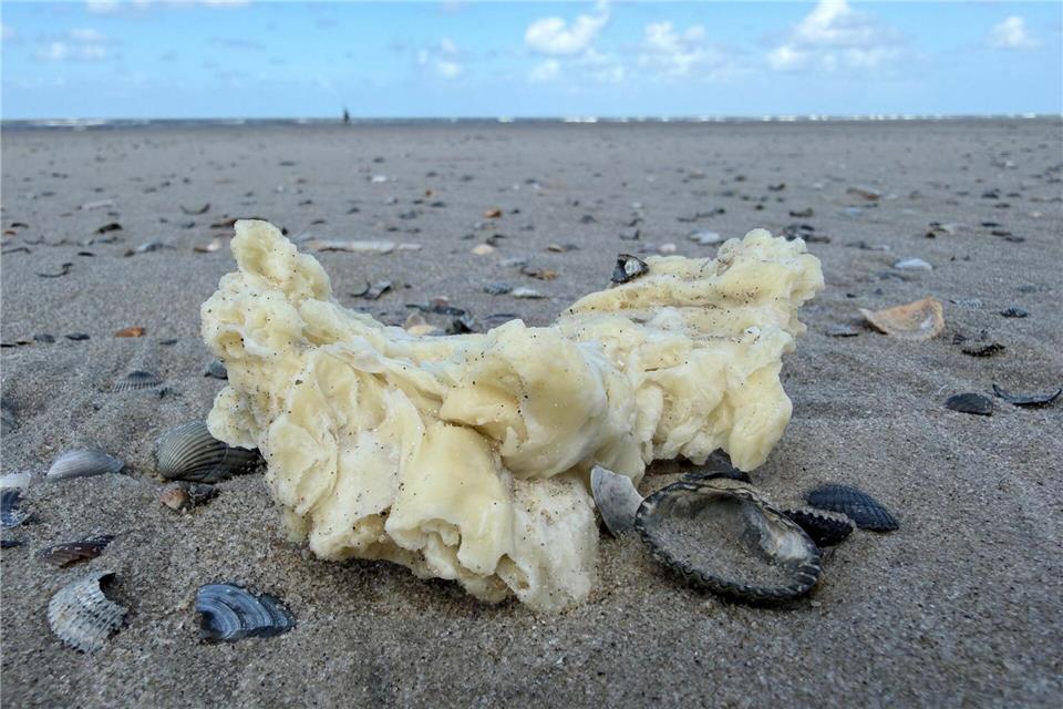 Die weißen Klumpen wurden unter anderem auf Borkum, Juist und Norderney entdeckt.Volker Bartels/dpa