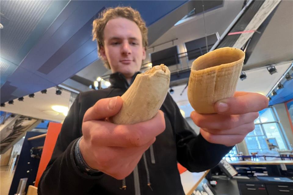 Die wertvollen Zähne des Pottwals sind im jetzt auf Sylt ausgestellten Unterkiefer durch Kunstzähne ersetzt, um Diebstahl vorzubeugen.Lea Albert/dpa