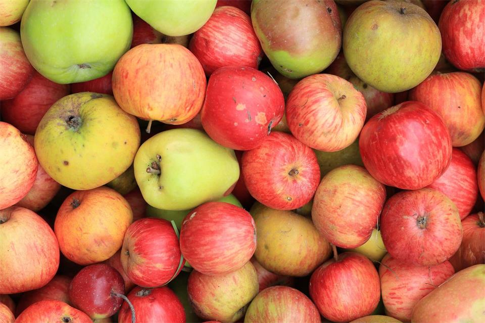 Diebe haben 400 Kilo Äpfel gestohlen. (Symbolbild) Matthias Bein/dpa