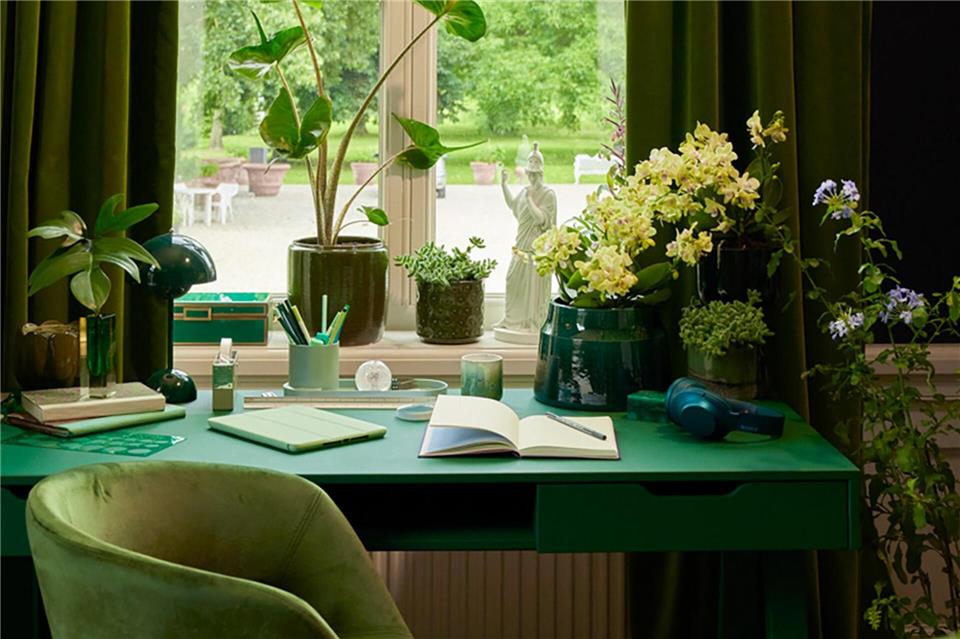 Diejenigen, die sich nicht nur eine ruhige grüne Optik, sondern auch eine gute Akustik rund um den Schreibtisch wünschen, stellen die Zimmerpflanzen am besten in Gruppen auf.Plants & Flowers Foundation Holland/dpa-tmn