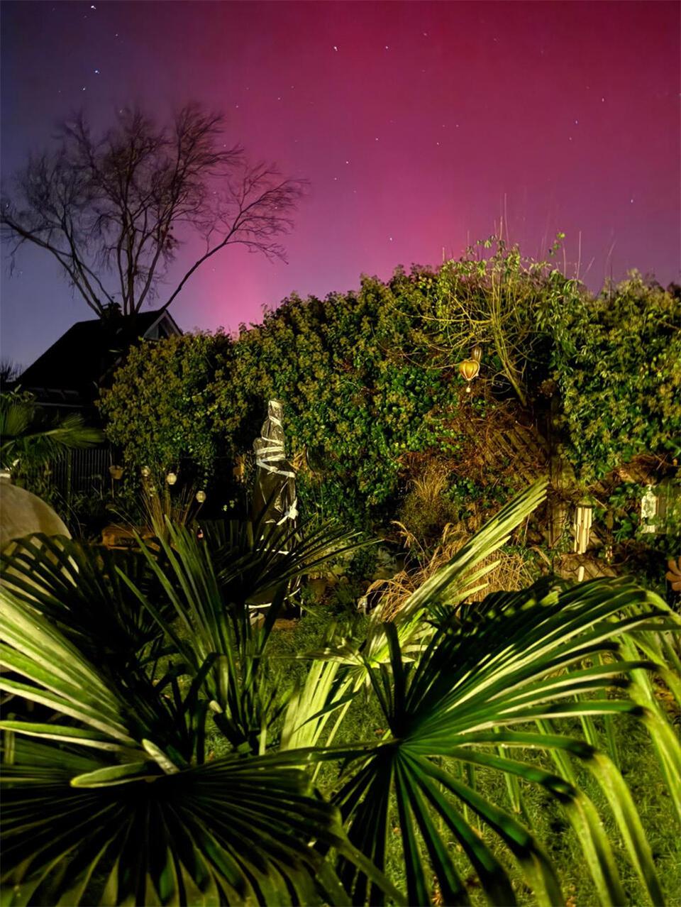 Diese Foto entstand bei Anja Ebers in Garten in Gemen. 