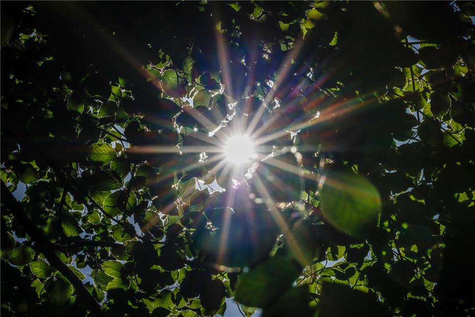 Diese Woche scheint die Sonne - und es wird sehr warm. (Illustration) Thomas Banneyer/dpa