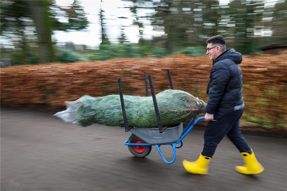 Dieser Mann hat seine Wahl bereits getroffen.Christian Charisius/dpa