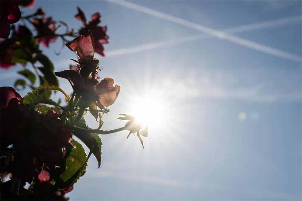 Dieser Sommer war extrem heiß - wie heiß, teilt der Wetterdienst am Montag mit. (Archivbild)Hannes P. Albert/dpa