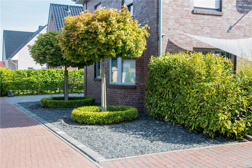 Dieser frühere Schottergarten in Emden wurde 2022 umgestaltet. (Archivbild)Lennart Stock/dpa/dpa-tmn
