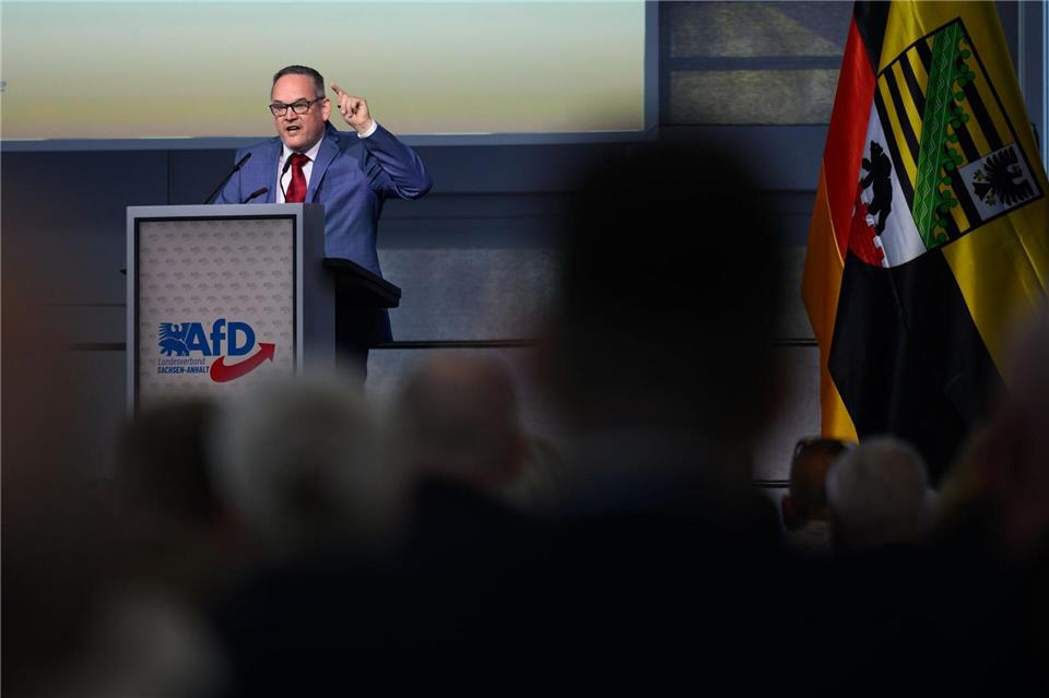 „Dieses Foto stellt keinen Hitlergruß dar“, sagt Martin Reichardt (AfD) und weist die Vorwürfe zurück. (Archivbild)Hendrik Schmidt/dpa