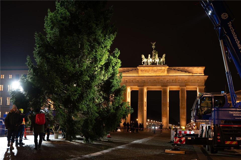 „Dieses Mal ist es ein sehr voller Baum. Wir hatten schon welche, die waren deutlicher kahler“, ist sich THW-Einsatzleiter Julius Kerkhoff sicher.Markus Lenhardt/dpa