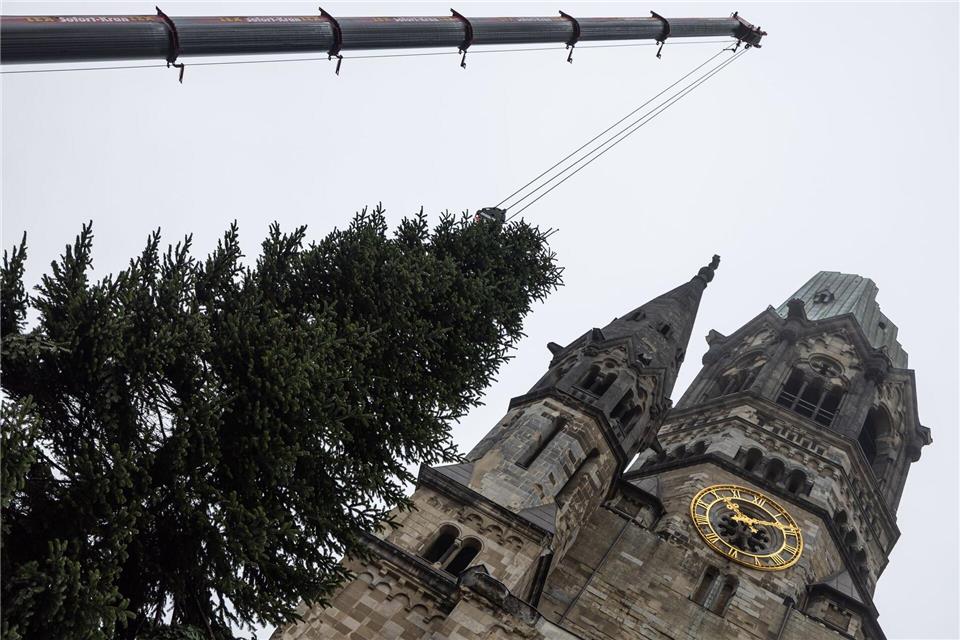 Berliner Weihnachtsbaum pannenfrei gelandet Diesmal ohne Zwischenfälle: Der Weihnachtsbaum landet an der Gedächtniskirche.Hannes P. Albert/dpa