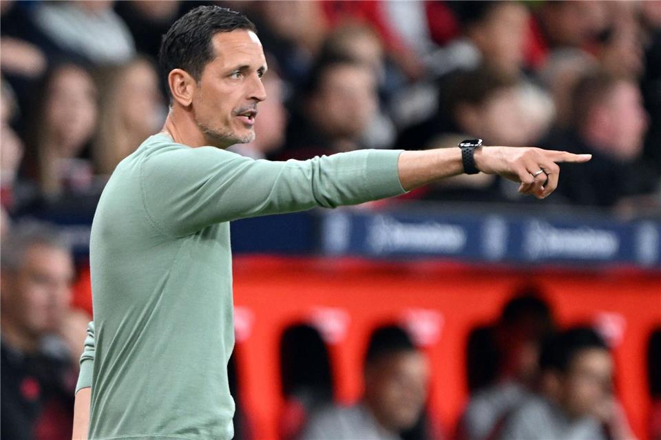 Dino Toppmöller will gegen Bayern München eine andere Mentalität seiner Mannschaft sehen.Federico Gambarini/dpa