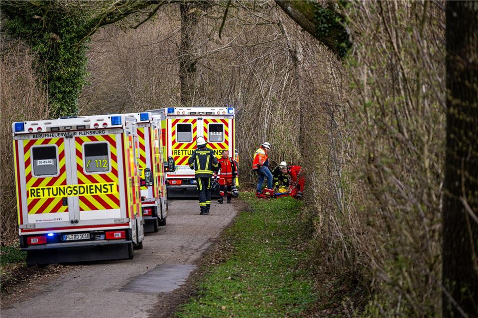 Drei Menschen sterben in einem Waldstück südöstlich von Flensburg.Benjamin Nolte/dpa