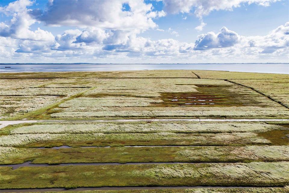 Drei Wattenmeer-Nationalparks gibt es in Deutschland: In Niedersachsen, Hamburg und Schleswig-Holstein.Frank Molter/dpa