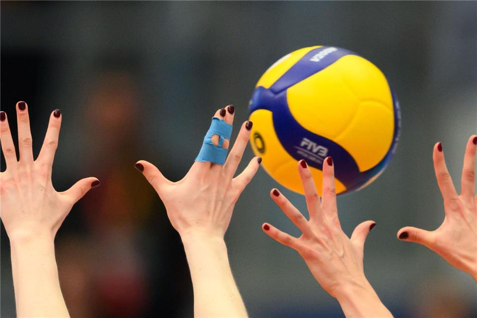 Dresdner Volleyballerinnen bezwingen Aachen und stehen im Pokal-Halbfinale (Foto: Archiv)Robert Michael/dpa