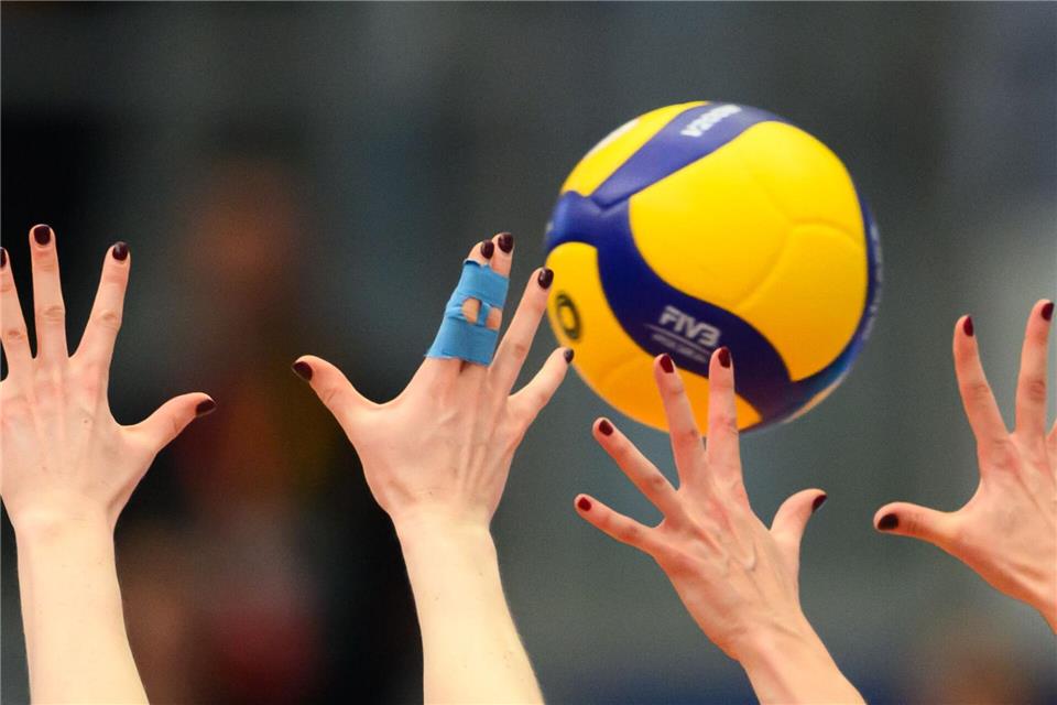 Dresdner Volleyballerinnen erreichen Playoff-Halbfinale (Archivfoto)Robert Michael/dpa