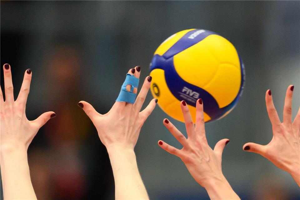 Dresdner Volleyballerinnen feiern Pflichtsieg bei Aufsteiger BorkenRobert Michael/dpa